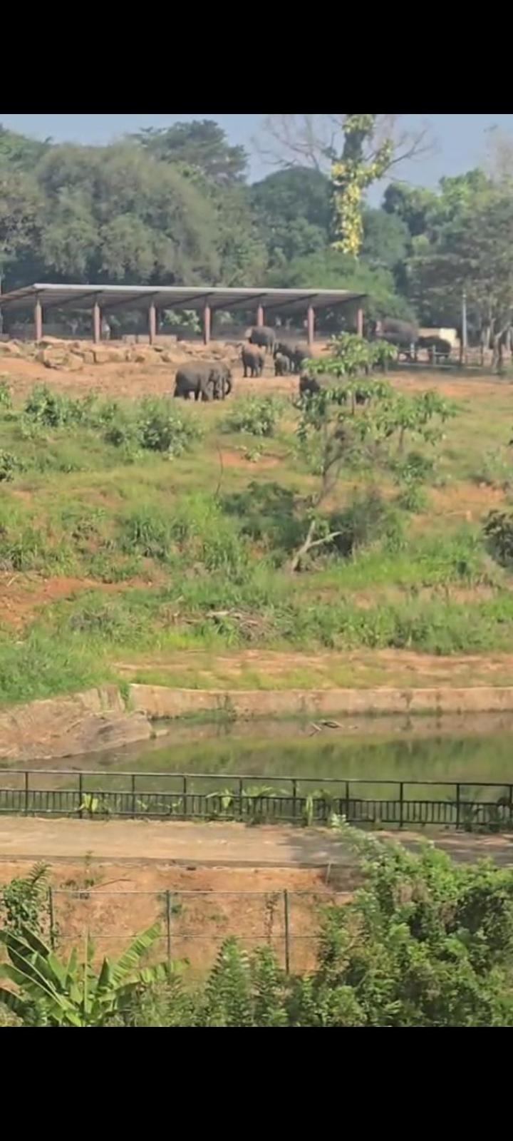 Pinnawala Elephant Front View Hotel Rambukkana Dış mekan fotoğraf